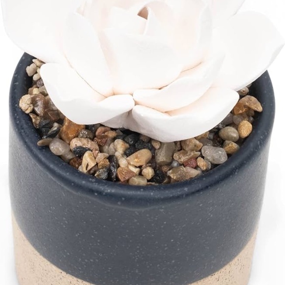 Demdaco Succulent 3 x 5 Stoneware Decorative Tabletop Oil Diffuser - Picture 3 of 11